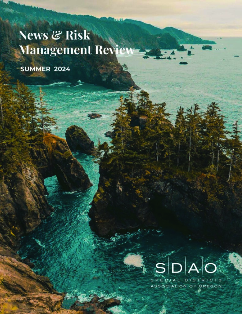 SDAO Summer Newsletter 2024