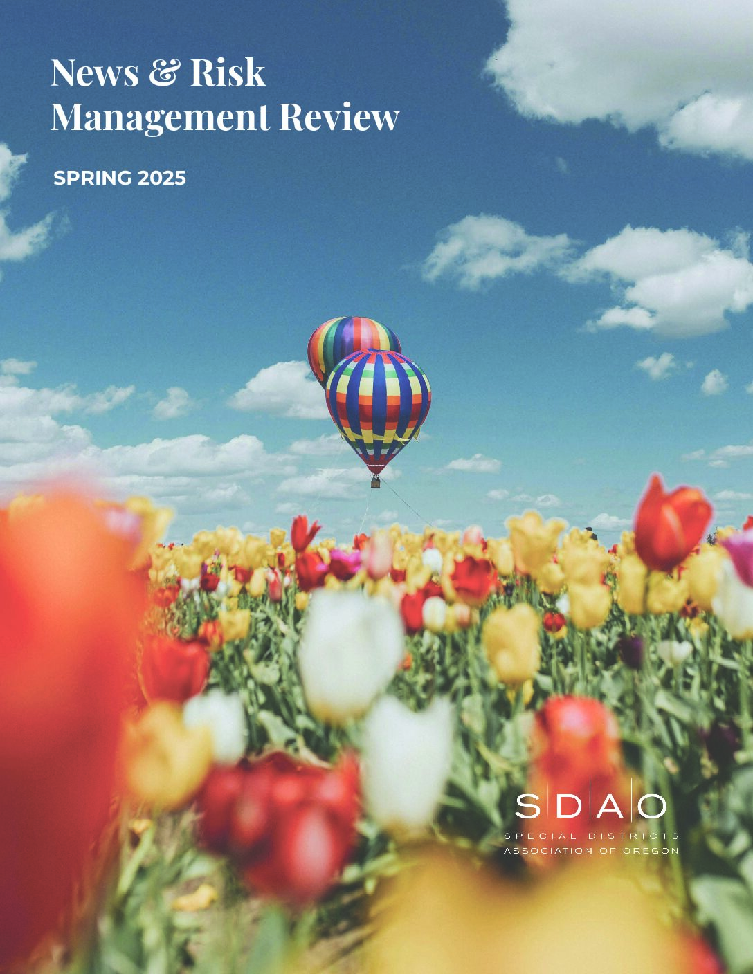 SDAO Newsletter Spring 2025