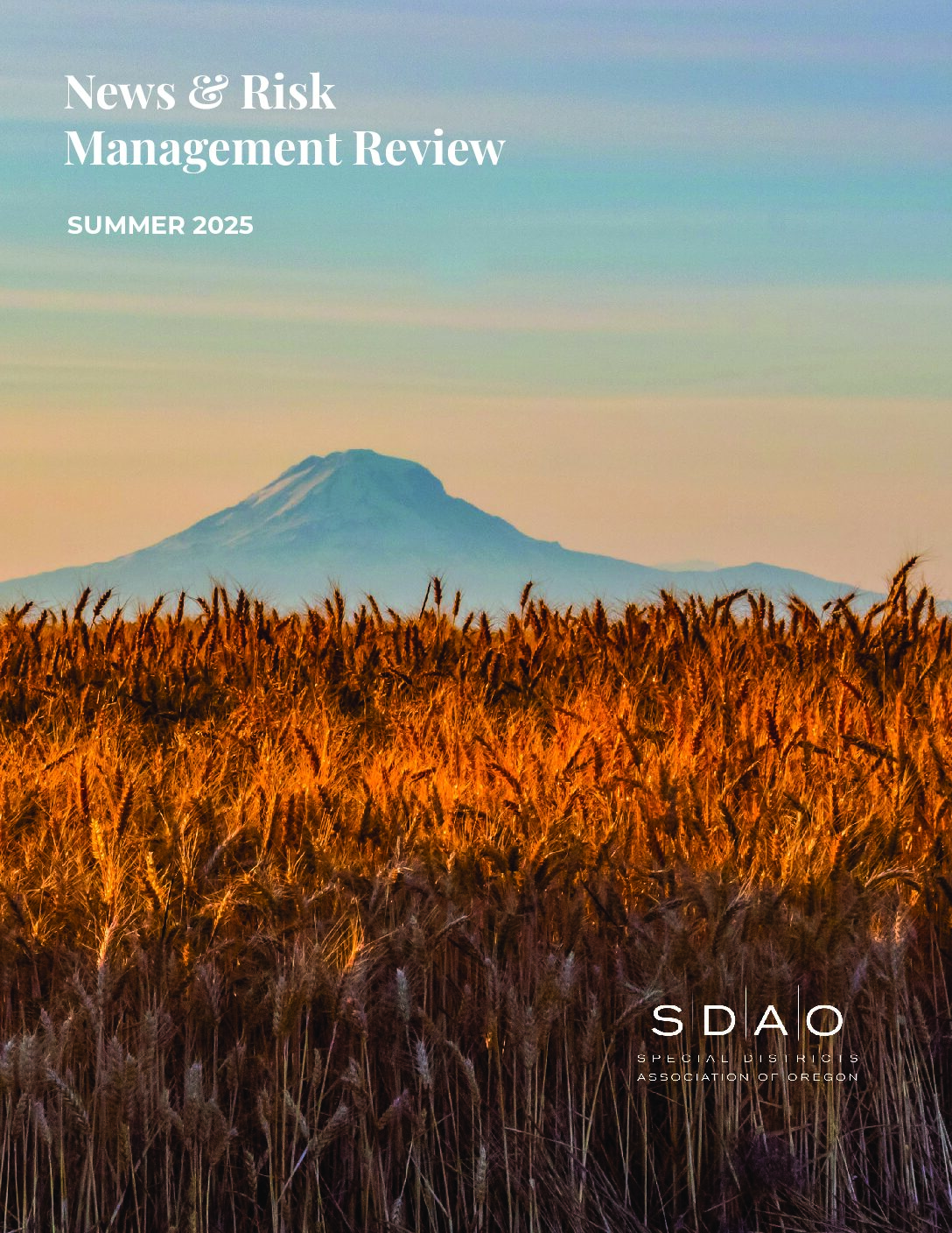 SDAO 2025 Summer Newsletter