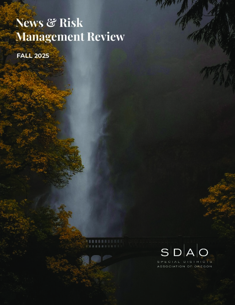 SDAO – Newsletter Fall 2025