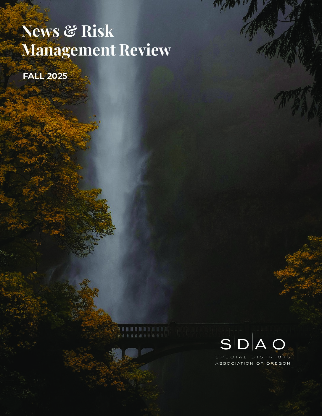 SDAO - Newsletter Fall 2025