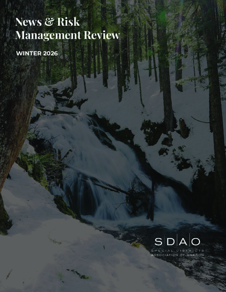 SDAO – Newsletter Winter 2026