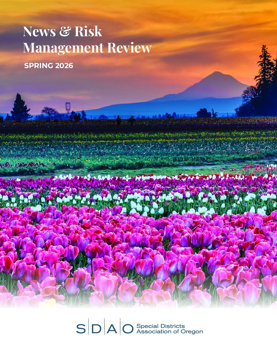 SDAO Newsletter Spring 2026